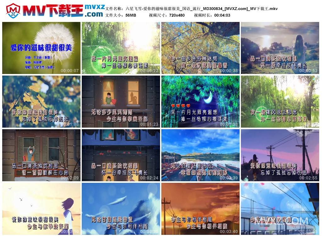 六星飞雪-爱你的滋味很甜很美_国语_流行_MD300834